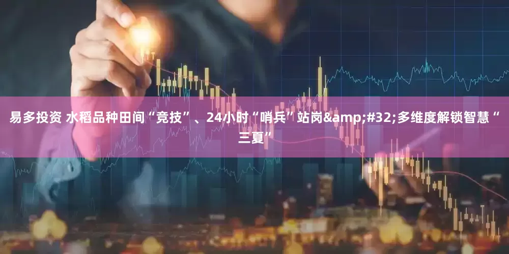 易多投资 水稻品种田间“竞技”、24小时“哨兵”站岗&#32;多维度解锁智慧“三夏”