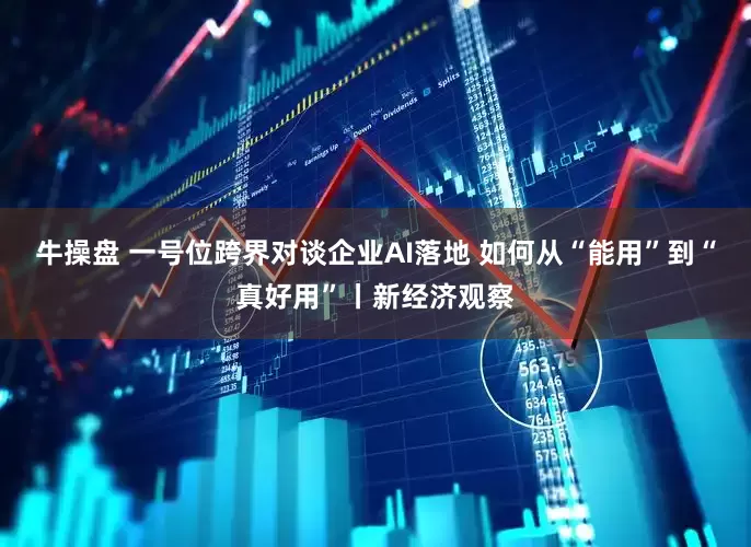 牛操盘 一号位跨界对谈企业AI落地 如何从“能用”到“真好用”丨新经济观察