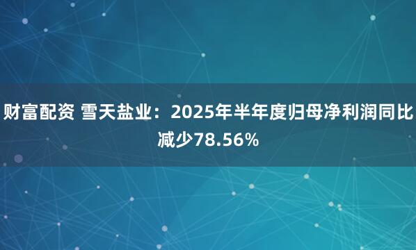 财富配资 雪天盐业：2025年半年度归母净利润同比减少78.56%