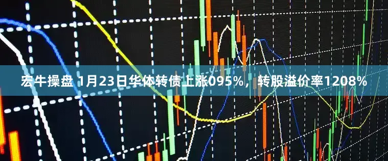 宏牛操盘 1月23日华体转债上涨095%，转股溢价率1208%